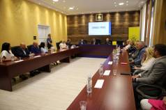 Mini IMG 5647